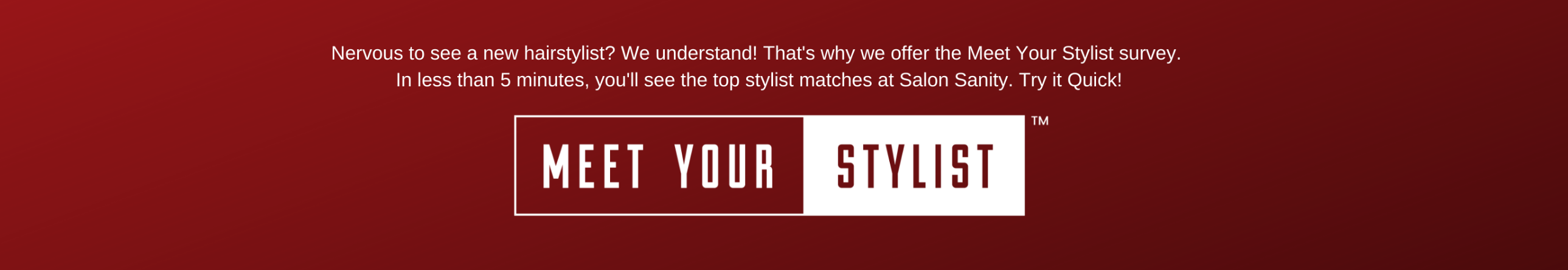 Meet Your Stylist Salon Sanity